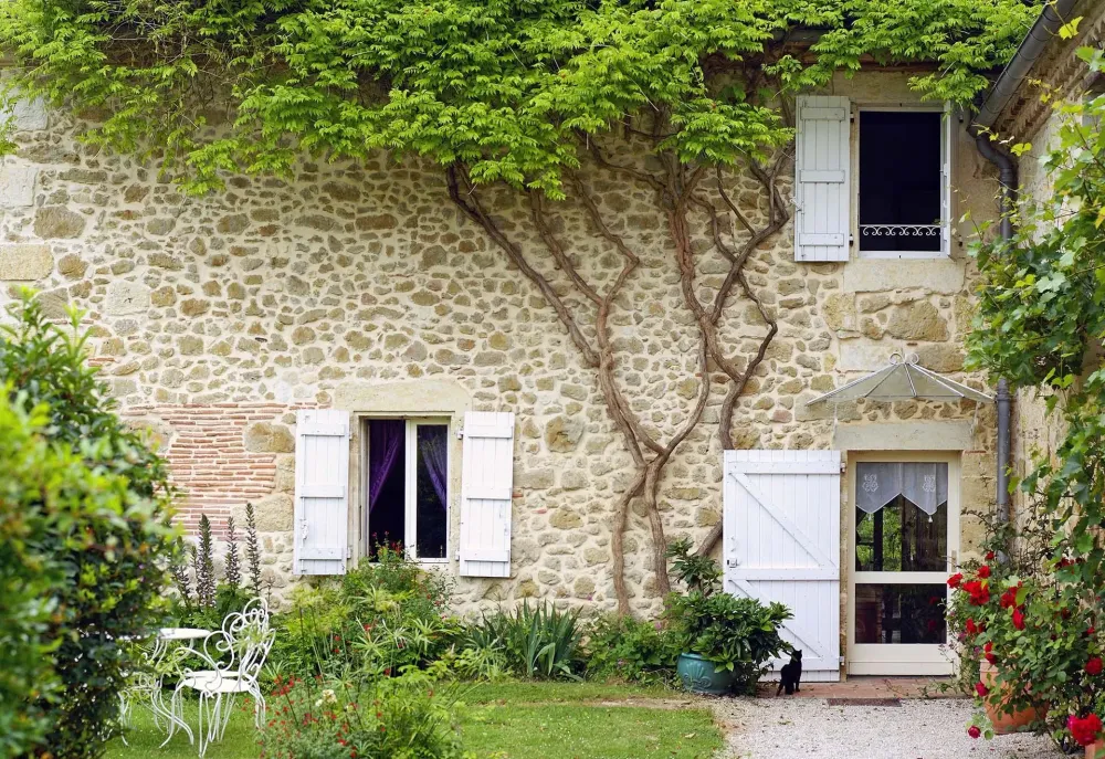 maison jointement mur